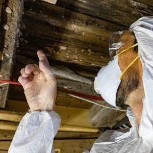 Asbestos Inspection services in Niagara, Ontario